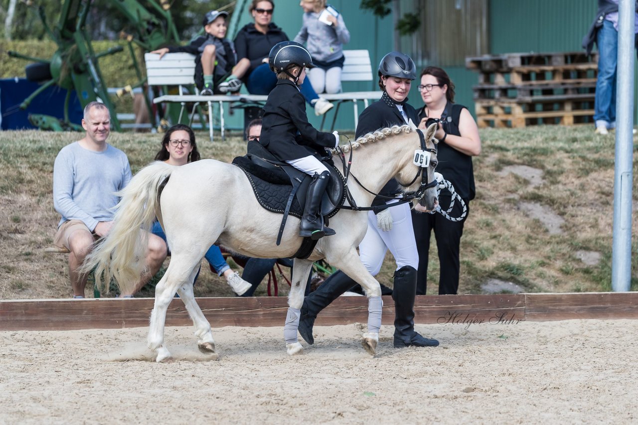 Bild 69 - Pony Akademie Turnier